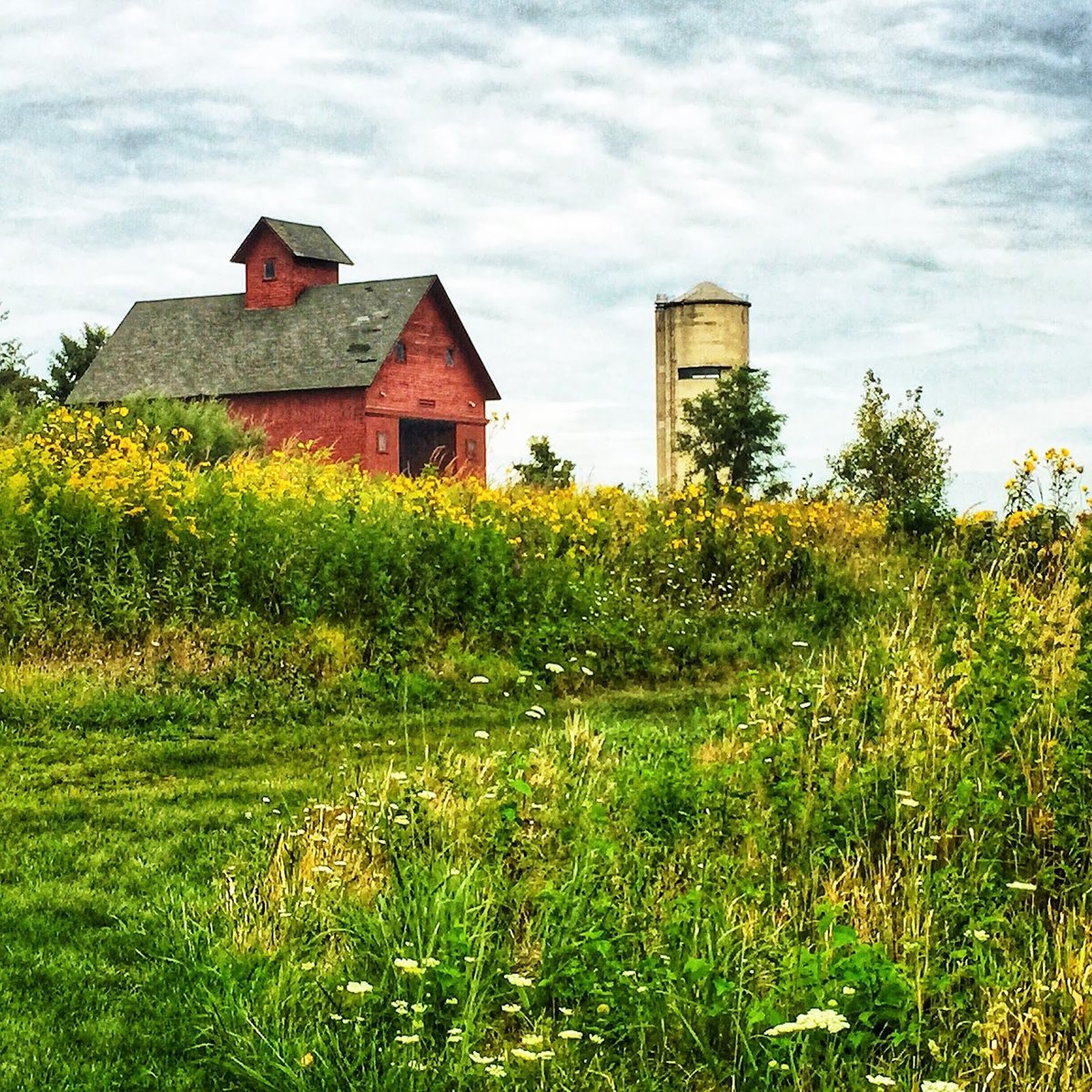 Peck Farm, IL - A Little Time and a Keyboard: Hawks Hollow Nature Playground at Peck Farm  {Amaz